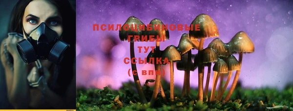 дживик Балашиха