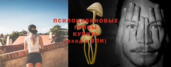 бошки Нижний Тагил