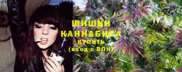 spice Печоры