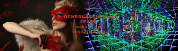 бошки Нижний Тагил