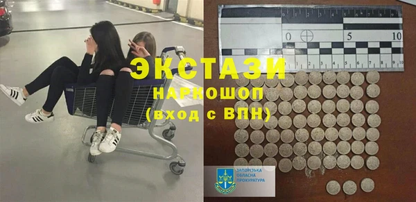 индика Чита