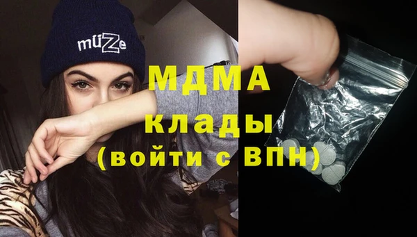 индика Чита