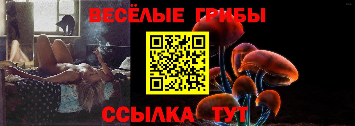 Псилоцибиновые грибы Psilocybe Белебей